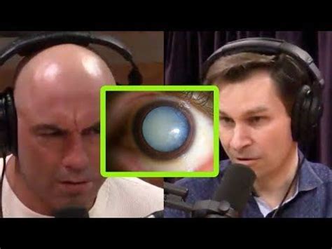 joe rogan blinds|How Science Could Return Eyesight to the Blind.